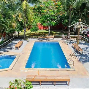 book here